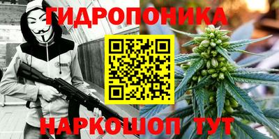 трава Лесосибирск