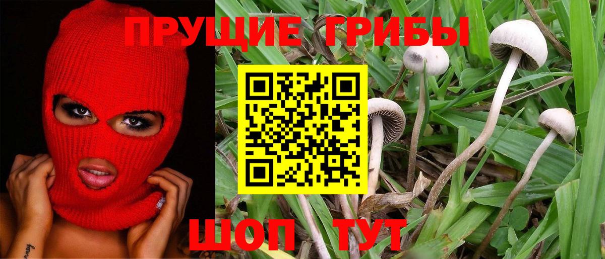 Вичуга  Галлюциногенные грибы мухоморы  купить закладку  Вход с VPN 